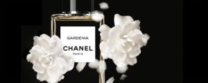 Chanel Les Exclusifs Gardenia eau de parfum Esprit de Gabrielle espritdegabrielle.com
