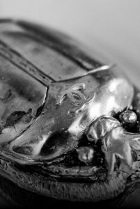 CHANEL Métiers d'art 2018-19 Paris New York GOOSSENS Esprit de Gabrielle espritdegabrielle.com