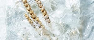 CHANEL Noel 2018 Joaillerie Horlogerie Esprit de Gabrielle espritdegabrielle.com