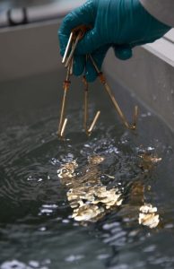 CHANEL Métiers d'Art Paris New York Boutons précieux Desrues Esprit de Gabrielle espritdegabrielle