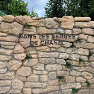 Dans les serres de CHANEL Camellia Alba Tuileries Esprit de Gabrielle espritdegabrielle.com