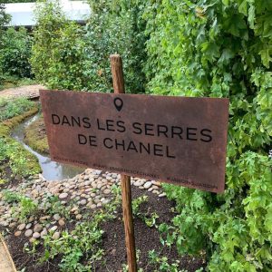 Dans les serres de CHANEL Camellia Alba Tuileries Esprit de Gabrielle espritdegabrielle.com