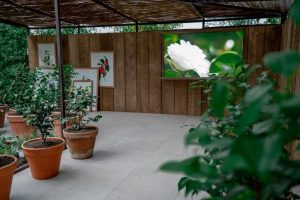 Dans les serres de CHANEL Camellia Alba Tuileries Esprit de Gabrielle espritdegabrielle.com