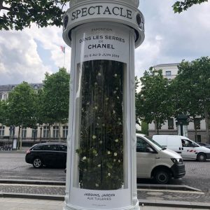 Dans les serres de CHANEL Camellia Alba Tuileries Esprit de Gabrielle espritdegabrielle.com