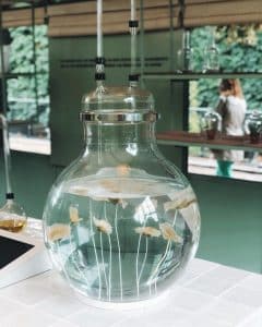 Dans les serres de CHANEL Camellia Alba Tuileries Esprit de Gabrielle espritdegabrielle.com