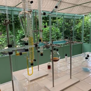 Dans les serres de CHANEL Camellia Alba Tuileries Esprit de Gabrielle espritdegabrielle.com