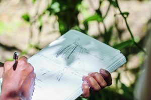 CHANEL BEYOND THE JAR VANILLA PLANIFOLIA Esprit de Gabrielle espritdegabrielle.com