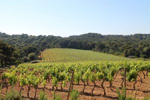 CHANEL Domaine de l'île Porquerolles Esprit de Gabrielle espritdegabrielle.com