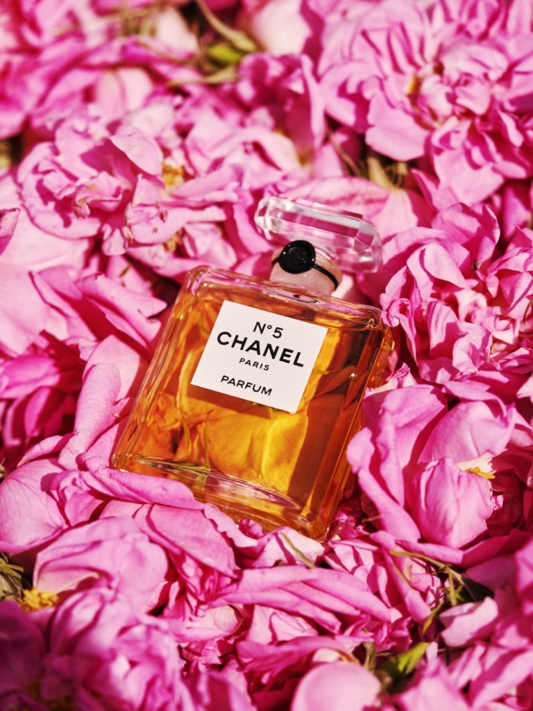 Dans les champs de Chanel Rose de Mai Esprit de Gabrielle espritdegabrielle.com