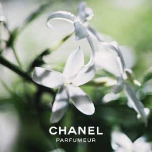 CHANEL PARFUMEUR JE SUIS UNE FLEUR Esprit de Gabrielle espritdegabrielle.com