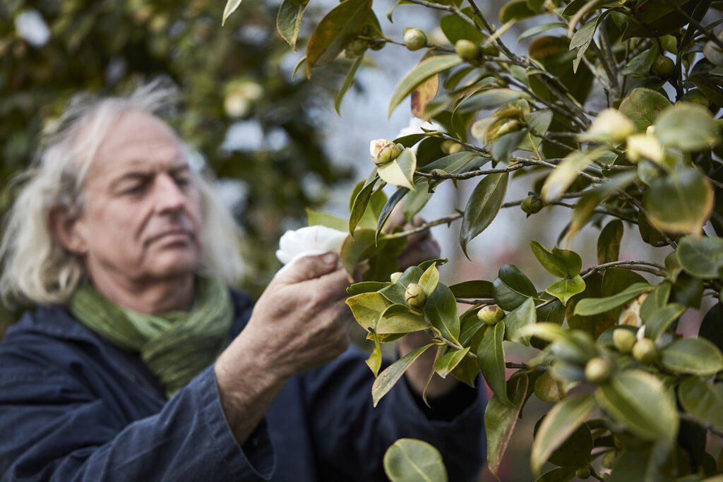 CHANEL CAMELLIA JAPONICA ALBA PLENA 14