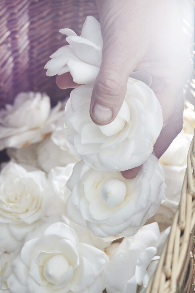 CHANEL CAMELLIA JAPONICA ALBA PLENA 15
